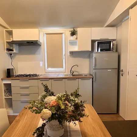 Apartment Mobile 772